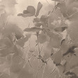 Silken Petals 1, Londonart
