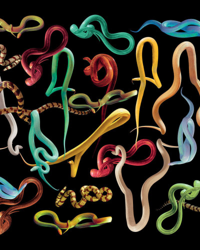 Toiletpaper / Snakes Storm (negru), Londonart