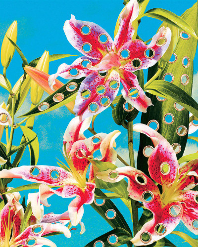 Tapet floral Toiletpaper / Holes of Paradise (albastru) cu flori albe si roz, cu detalii subtile pe fundal albastru