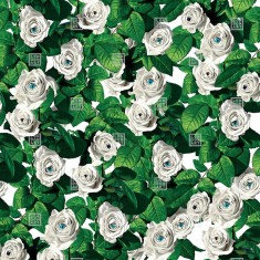 Fototapet Toiletpaper / Eyes and Roses (alb), personalizat, Londonart