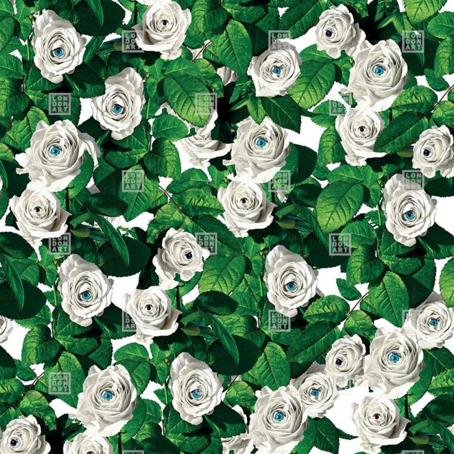 Wallpaper cu trandafiri albi si ochi