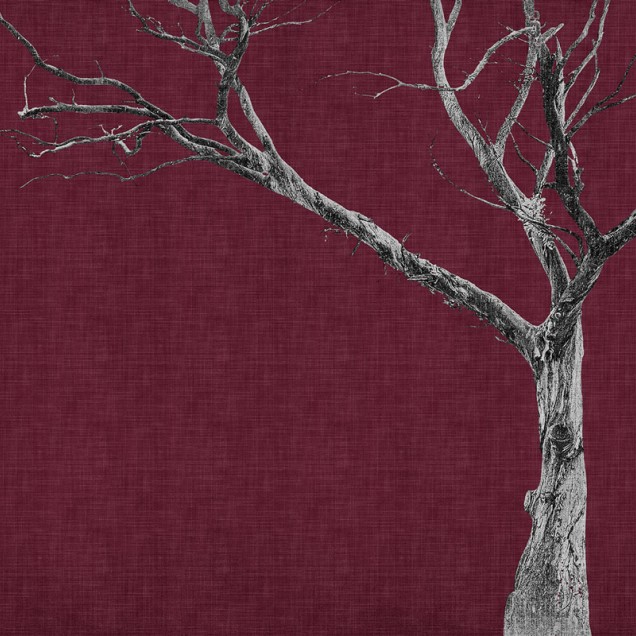 Wallpaper cu design minimalist cu un copac uscat pe un fond roșu elegant. Designul este ideal pentru dormitor, living sau birou.