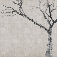 Fototapet Exclusive Wallpaper / Brambles Re-Edition (bej), personalizat, Londonart