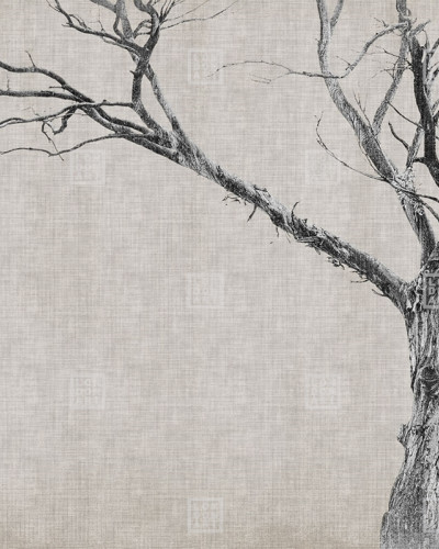 Tapet cu design minimalist, reprezentând un copac cu ramuri uscate, pe un fundal texturat. Tonuri neutre și linii simple, perfectă pentru a adăuga un strop de naturalețe și eleganță camerei tale.