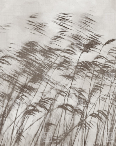 Wallpaper abstract cu iarbă în mișcare, în nuanțe de gri și maro.