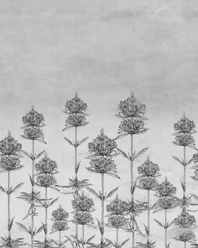Exclusive Wallpaper / Natural Euphoria (gri), Londonart