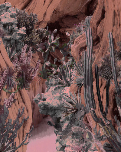 Exclusive Wallpaper / Navajo Dream (roz), Londonart