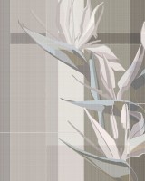 Exclusive Wallpaper / Strelitzia (A), Londonart