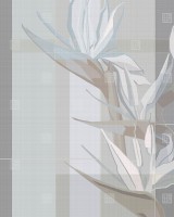Exclusive Wallpaper / Strelitzia (C), Londonart