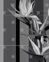 Exclusive Wallpaper / Strelitzia (F), Londonart