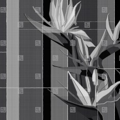 Fototapet Exclusive Wallpaper / Strelitzia (F), personalizat, Londonart