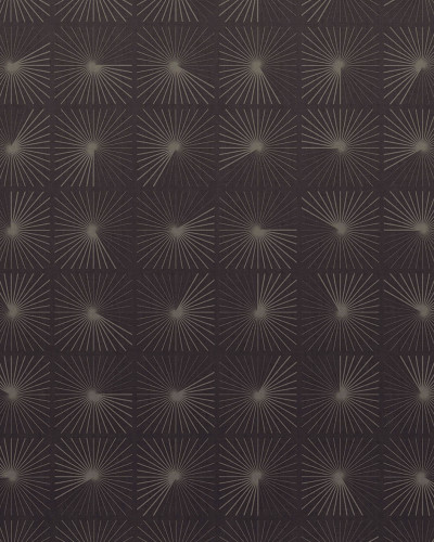 Tapet geometric modern cu design rafinat, Exclusive Wallpaper / Meridians (dark)