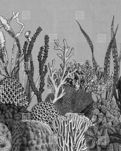 Wallpaper See Sea (B) cu recif de corali în tonuri de gri.