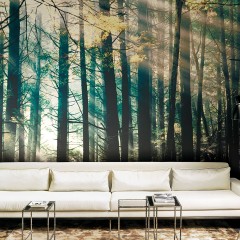 Fototapet Dsquared2 / Canadian Forest (bright), personalizat, Londonart