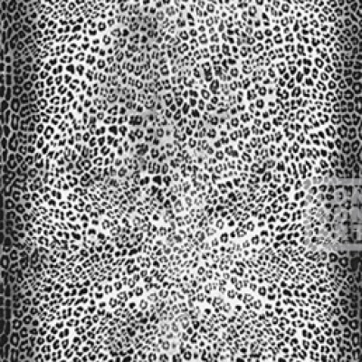 Tapet Animalier (alb) - un design modern și elegant.
