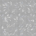 Fototapet Londonart LND-HAKMA_KMN11_D. Conține culorile: