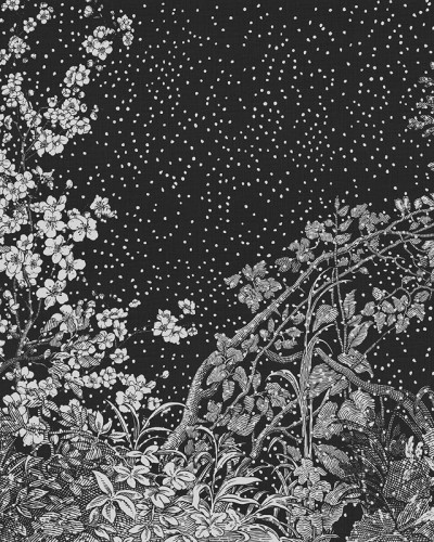 Tapet cu motive florale delicate și un fundal negru elegant,  inspirat din arta japoneză.