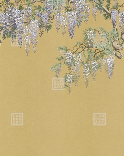 Kimono Tale Books / Iromuji (auriu), Londonart