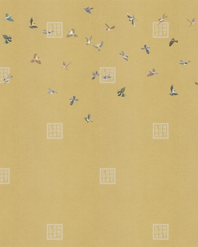 Kimono Tale Books / Yuki (auriu), Londonart