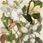 Tapet designer Magnolia, Taupe, MINDTHEGAP, 4.68mp / cutie