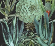 Tapet designer Succulentus, Anthracite MINDTHEGAP, 4.68mp / cutie
