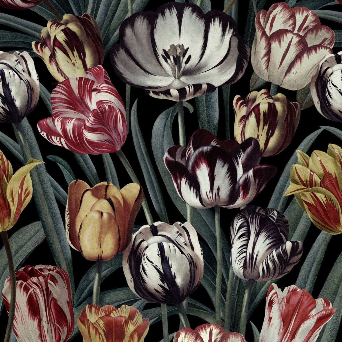 Tapet designer Tulipa Dark, MINDTHEGAP, 4.68mp / cutie, Tapet Exclusivist 