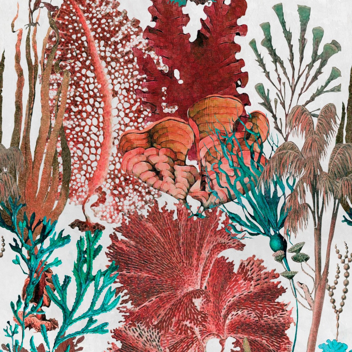 Tapet designer Coral Reef, MINDTHEGAP, 4.68mp / cutie, Tapet living 