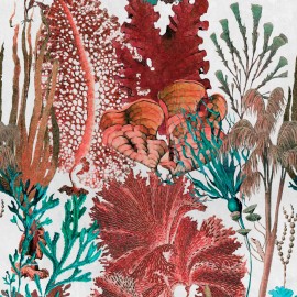 Tapet designer Coral Reef, MINDTHEGAP, 4.68mp / cutie