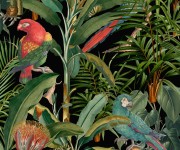 Tapet designer Parrots of Brasil, Antracit, MINDTHEGAP, 4.68mp / cutie