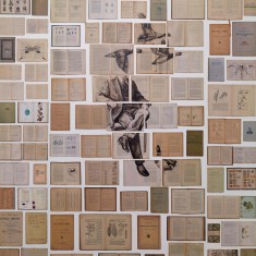 Tapet designer Biblioteca Man With Birds by Ekaterina Panikanova, NLXL, 4.8mp / model