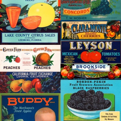 Tapet designer Crate Labels Fruit and Vegetables by Mr and Mrs Vintage, NLXL, 4.9mp / rola, Tapet Exclusivist 