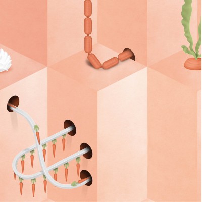 Tapet designer Pink Carrot by Suzan Hijink, NLXL, 4.8mp/rola, Tapet living 