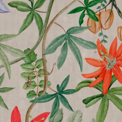 Tapet designer Passiflora, Verge by UON, NLXL, 4.8mp/rola, Tapet living 