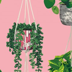 Tapet Houseplant, Bubblegum, Ohpopsi