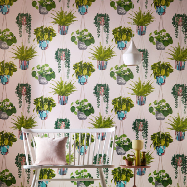 Houseplant, Ballet Slipper, Ohpopsi