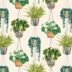 Tapet Houseplant, Sage & Cider, Ohpopsi