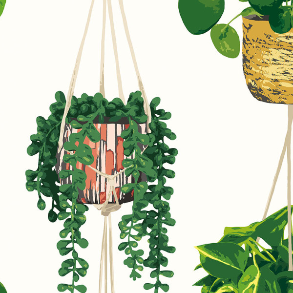 Houseplant, Parakeet, Ohpopsi