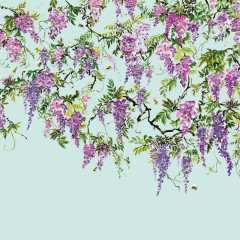 Fototapet Trailing Wisteria, Amethyst & Sky, Ohpopsi, 7.2mp / rolă