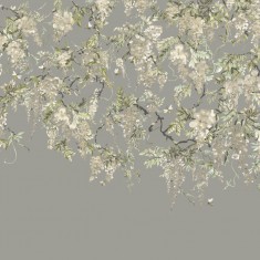 Fototapet Trailing Wisteria, Linen & Stone, Ohpopsi, 7.2mp / rolă