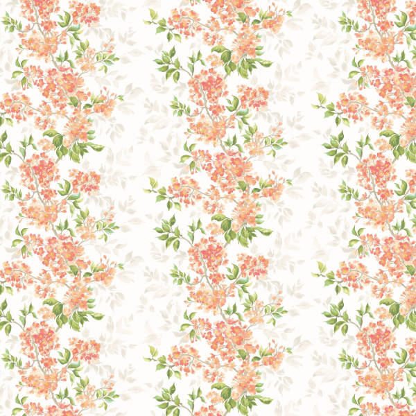 Sakura, Peach, Ohpopsi