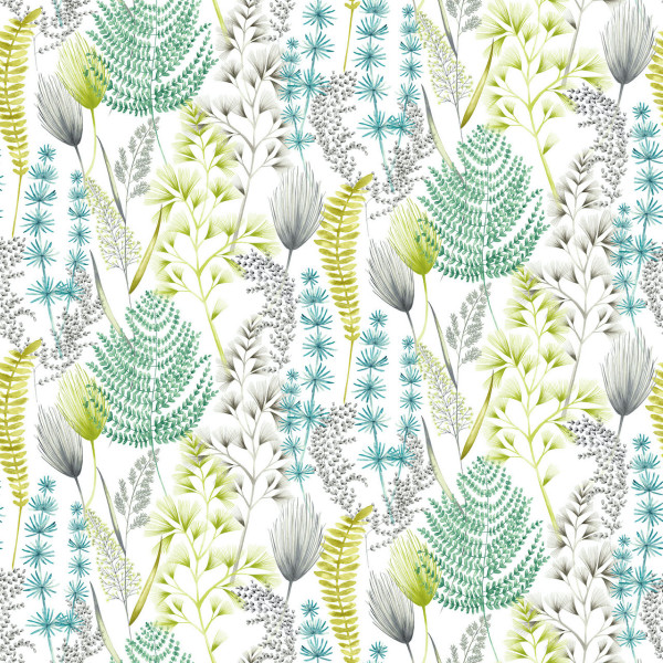Summer Ferns, Acid, Ohpopsi