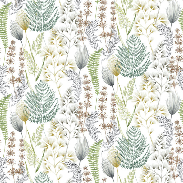Summer Ferns, Earth Organic, Ohpopsi