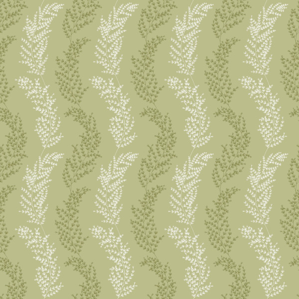 Mimosa Trail, Sage Olive, Ohpopsi
