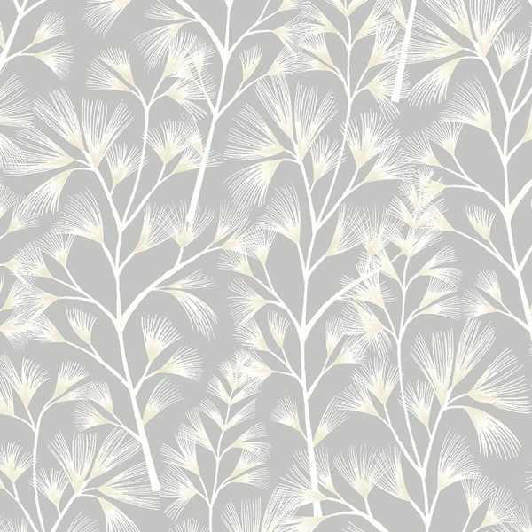 Arabella, Grey, Ohpopsi