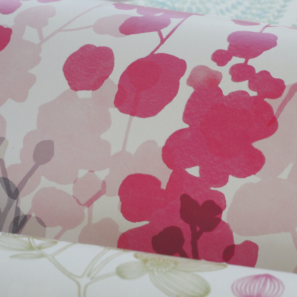 Blossom, Raspberry, Ohpopsi