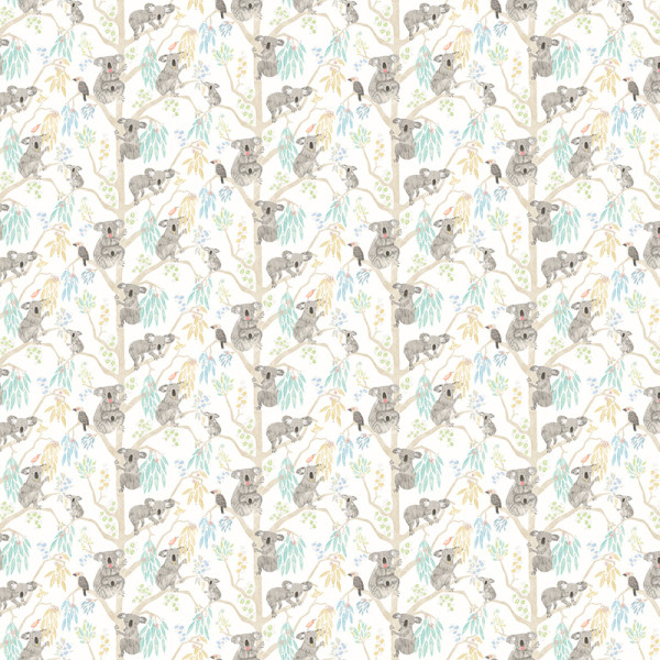 Kooka Koala, Sky, Ohpopsi