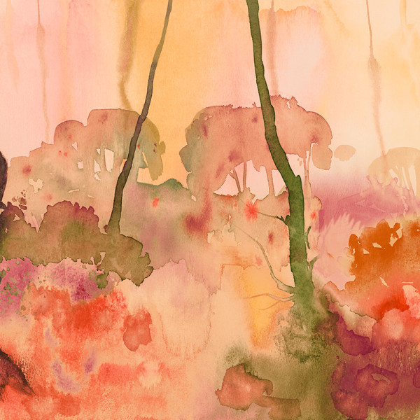 Forest Seasons, Paprika, Ohpopsi, 7.2mp / rolă