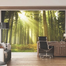 Fototapet Spruce Forest M, Evergreen, Origin Murals, 300x240cm