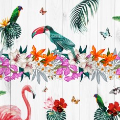 Fototapet Birds of Paradise L, Multi, Origin Murals, 350x280cm