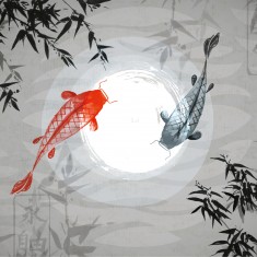 Fototapet Watercolour Koi L, Graphite, Origin Murals, 350x280cm
